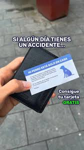 vetsxhelp's tweet photo. Aconsejamos llevar contigo la identificacion de tus animales de compañia. Si tienen que darte asistencia en via publica, mientras estas con tu perro por ej.— o quedo solo en casa, tener la tarjeta con sus datos y telefonos para que alguien lo pueda buscar, van a ser claves https://t.co/1D8k0TchL2