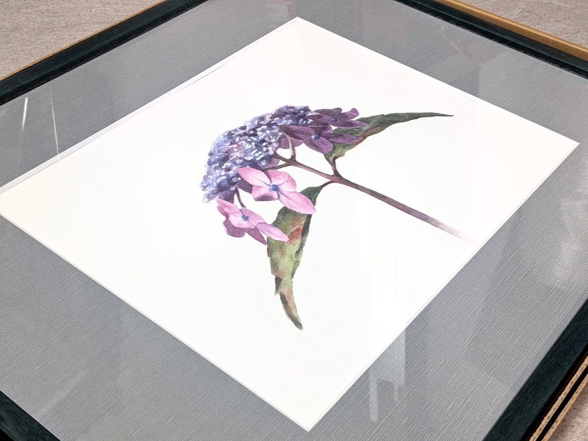 色々とあって滅多にない水彩画の額装。 ちなみに展示用ではない。