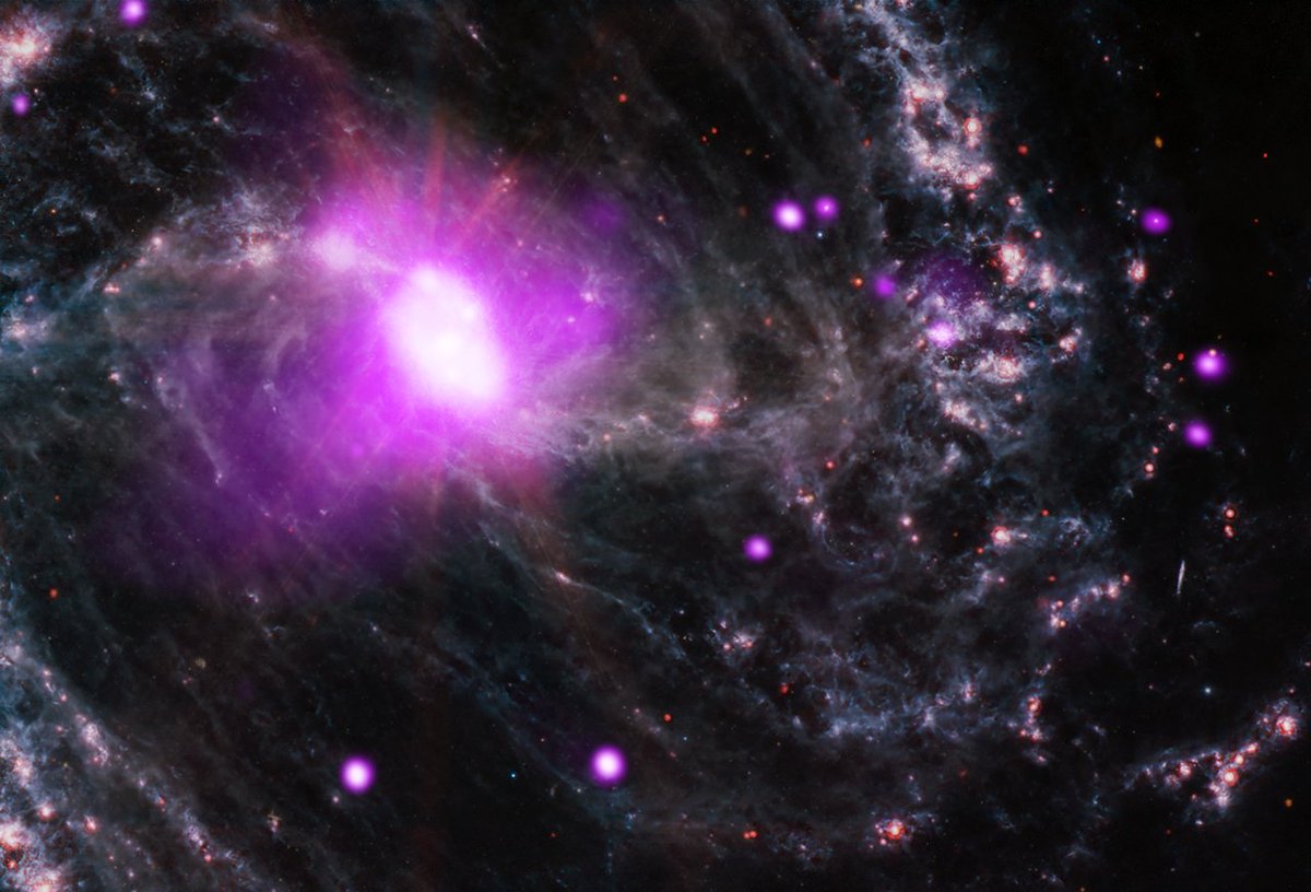 Chandra Observatory tweet media