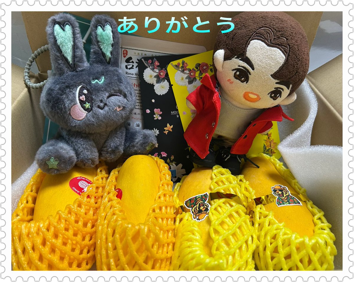 kiyo🇯🇵 tweet media