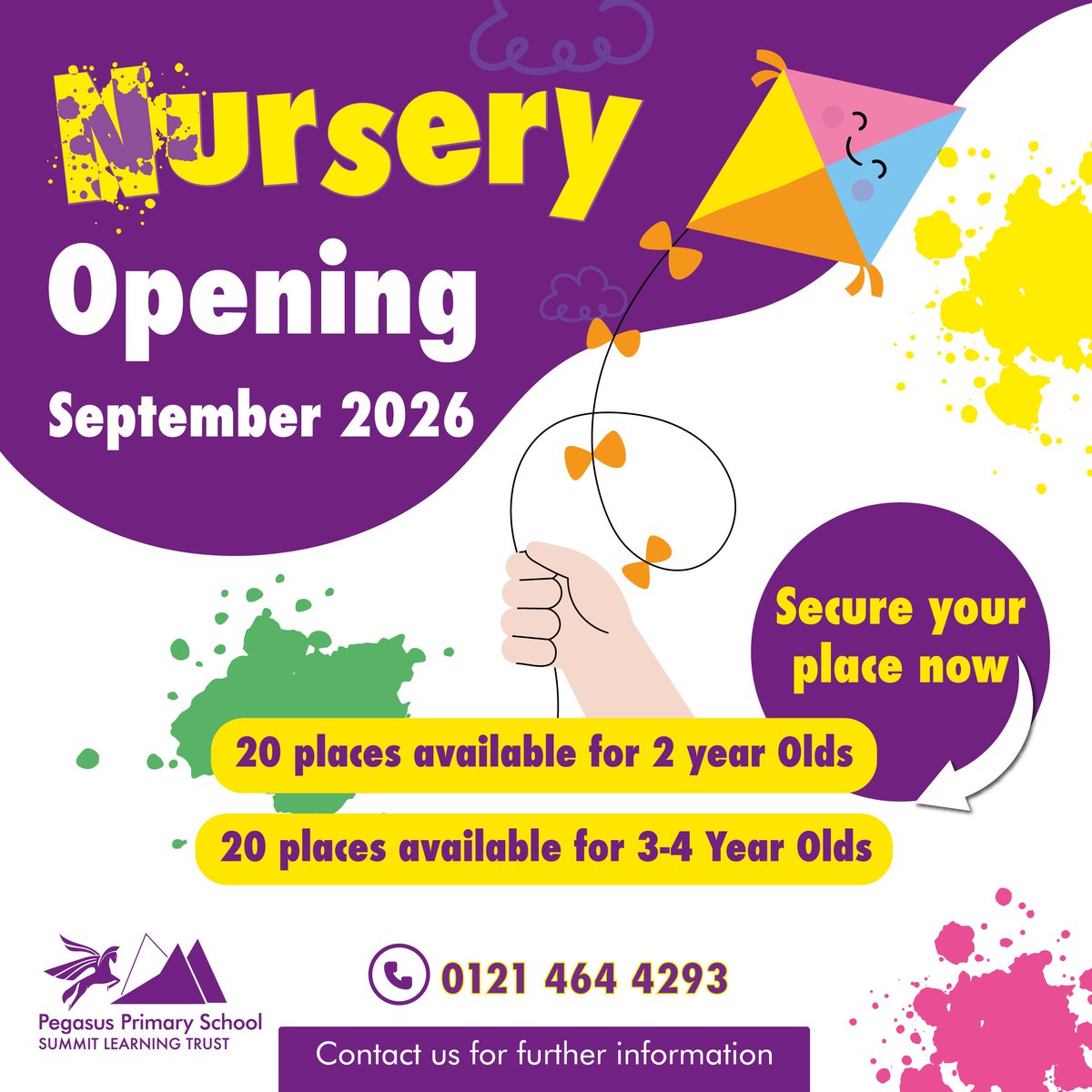 Pegasus Primary tweet media