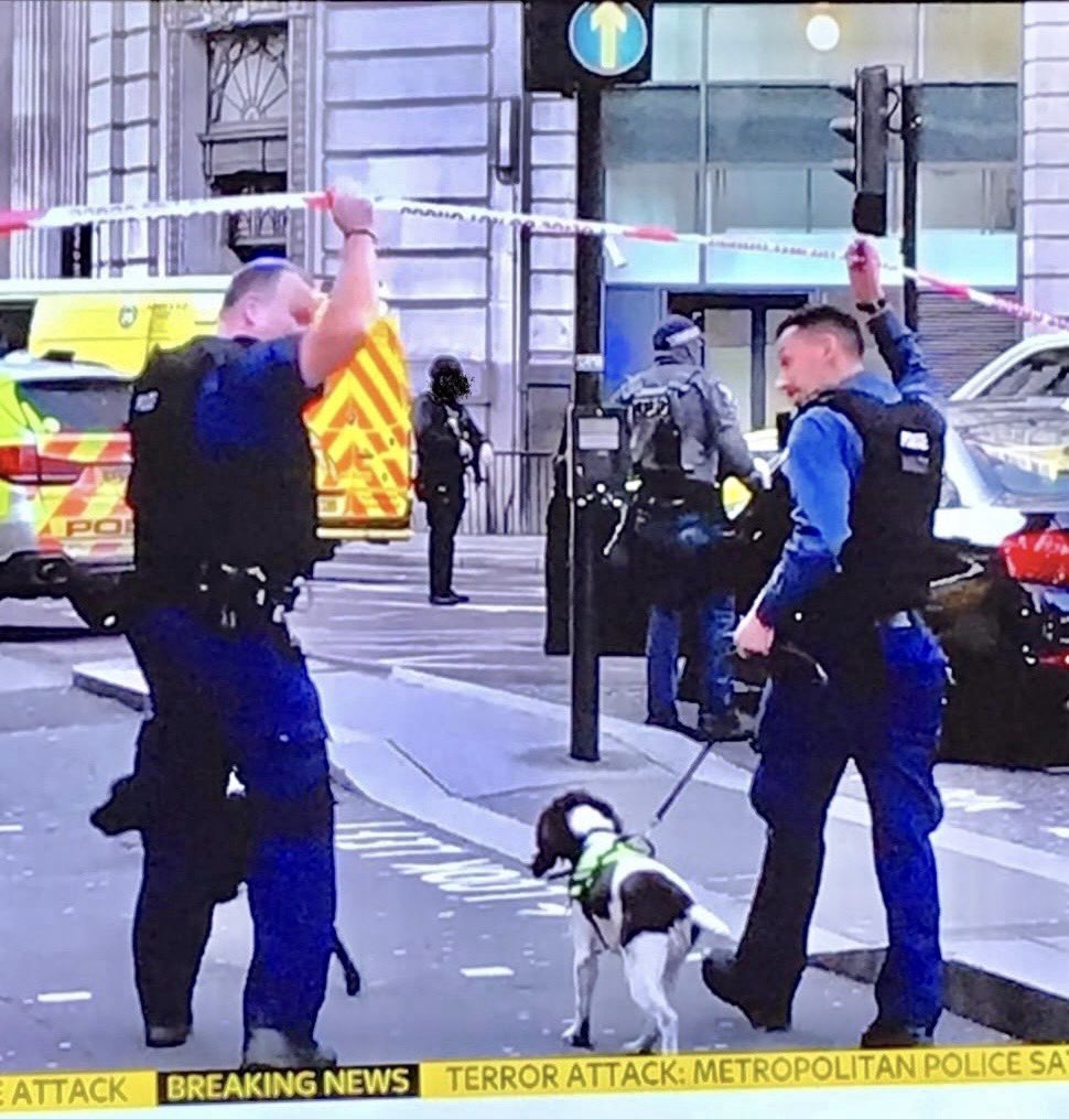 London Retired Police Dogs Trust tweet media