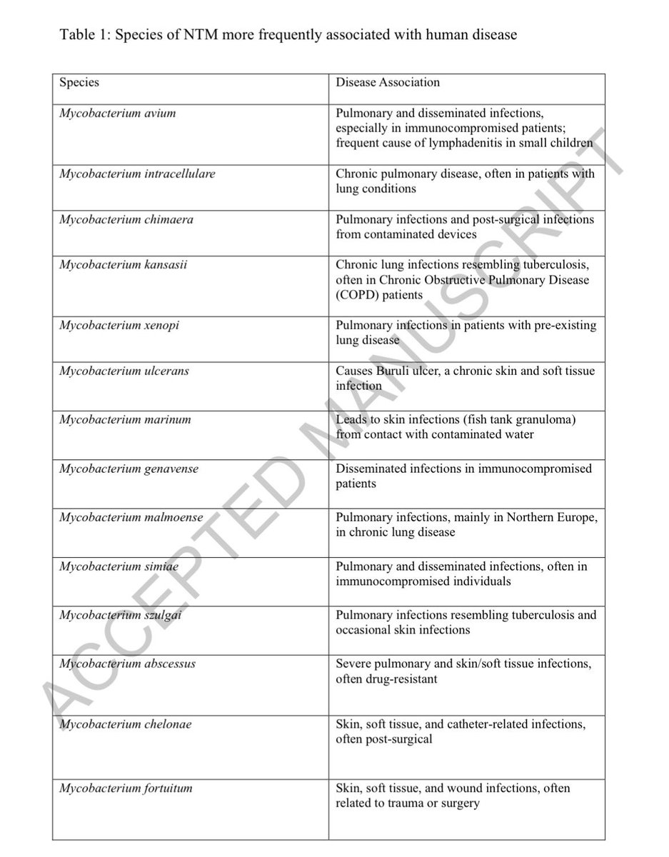 AliSMV7's tweet photo. Challenges and therapeutic strategies in
nontuberculous mycobacterial infections related to biofilms

https://t.co/dDnejAe3Sc https://t.co/xbyrpkok8e