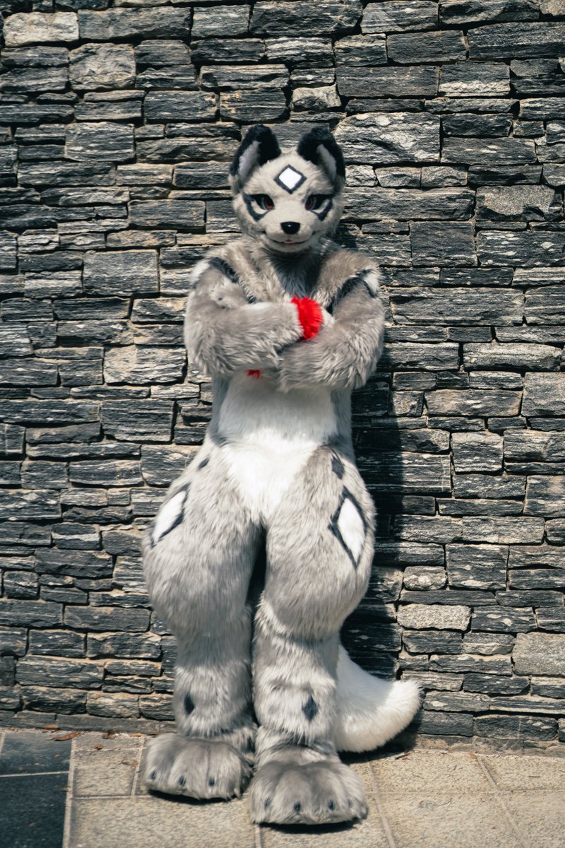 KannKaru's tweet photo. 언제까지 기다리게 할 셈이야?🤨
#FursuitFriday 
#犬工房 https://t.co/4rk7aAsNMD