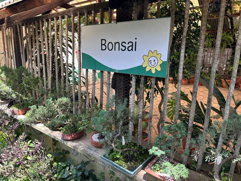 ptashirojp's tweet photo. グアテマラシティーにある植物苗店「Vivero Botanik」
いろんな苗が売られている。併設してカフェがありそこもお勧め。
日本産のものでは田中のビワ、GUAYABAJAPONESA、盆栽各種がある・ https://t.co/8AEs5PizMe