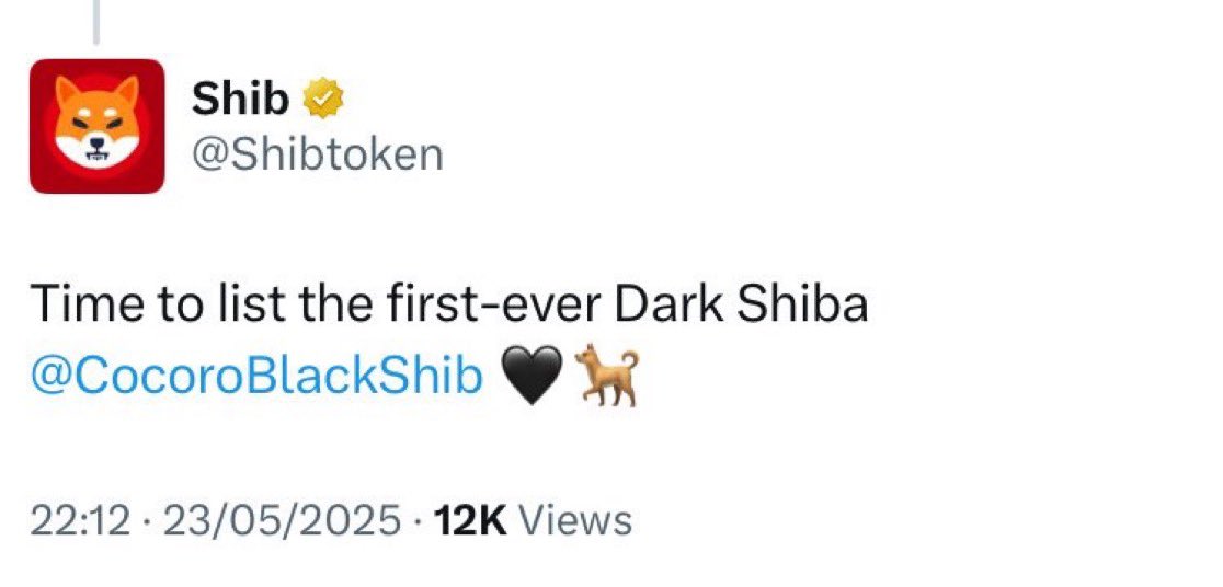 Cocoro Dark Doge tweet media