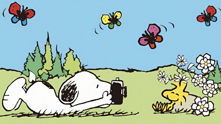 Woodstock tweet media
