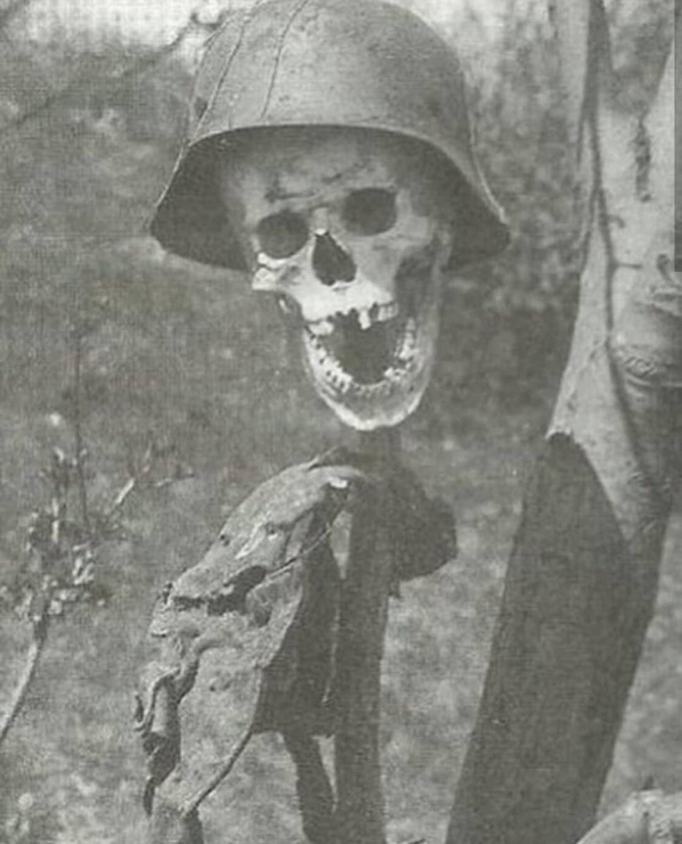 WW2 The Eastern Front tweet media
