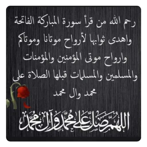 محسن ابو علي tweet media