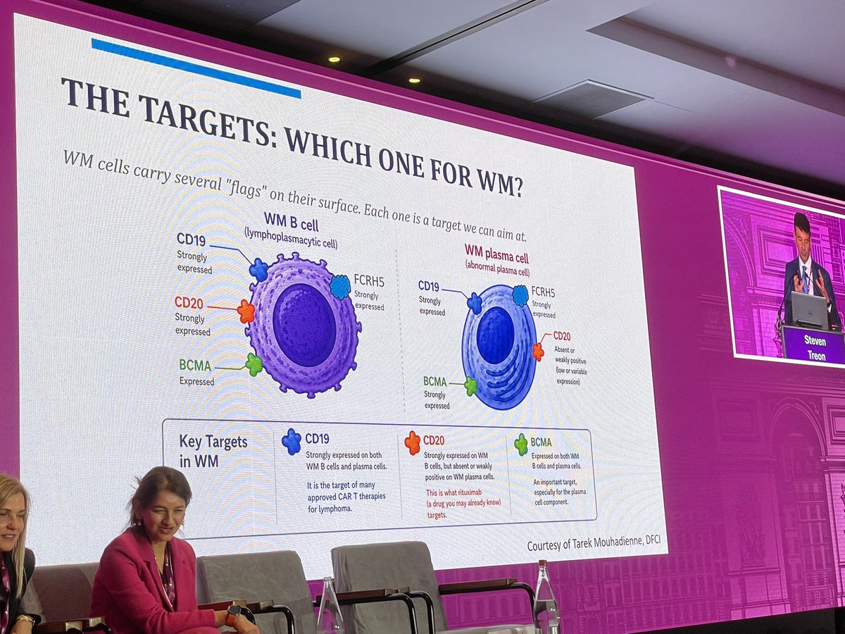 RahulBanerjeeMD's tweet photo. At #COMy26, a fascinating glimpse of the future for Waldenstrom by #steventreon - cellular therapies are coming for sure, but we just donβt know which ones yet! https://t.co/cV1uJ6iTwW