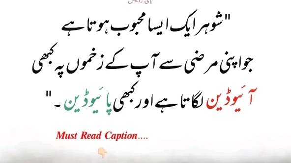 Aleena tweet media