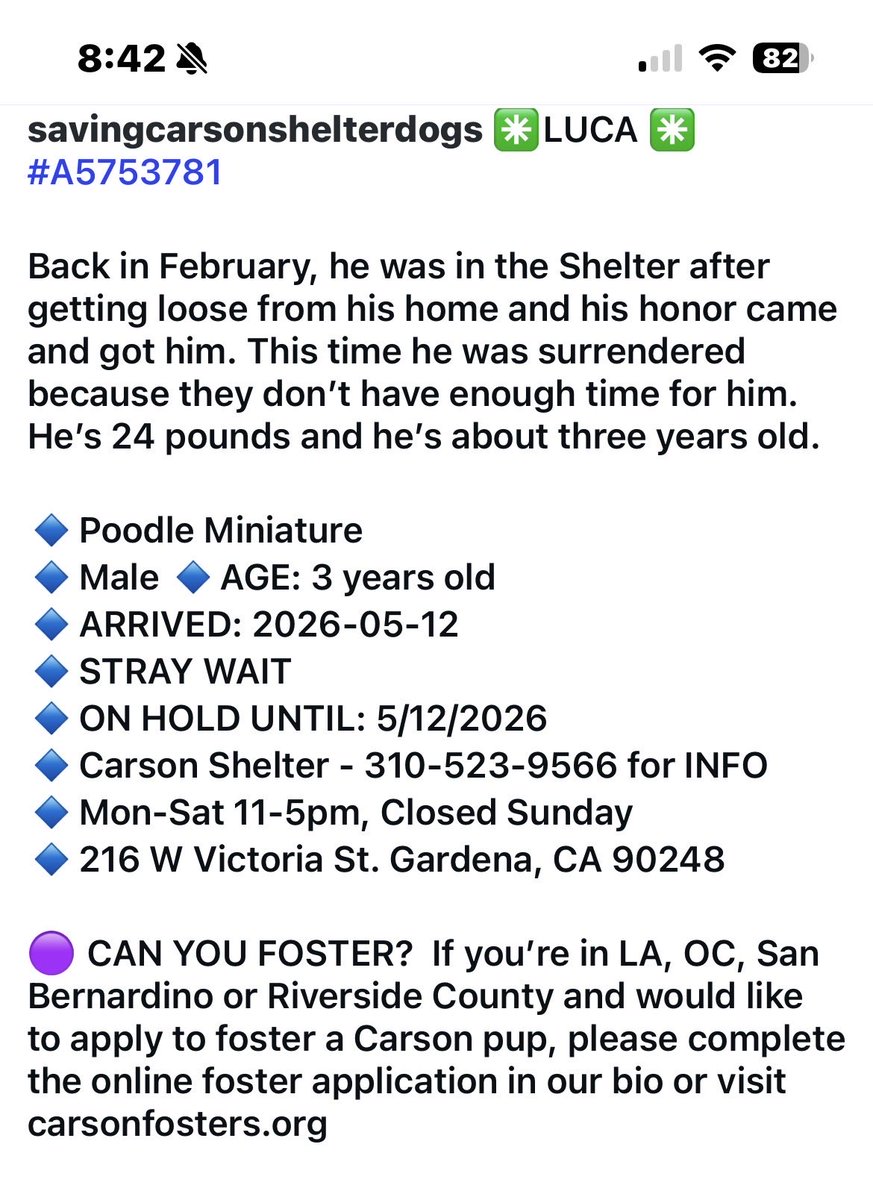 micortazonzz1's tweet photo. (Sharing another dog for exposure. Instagram post)
Family has no time for 3 yr old LUCA.  Located in California https://t.co/WJ8ZHa7qOa
