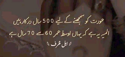 Aleena tweet media