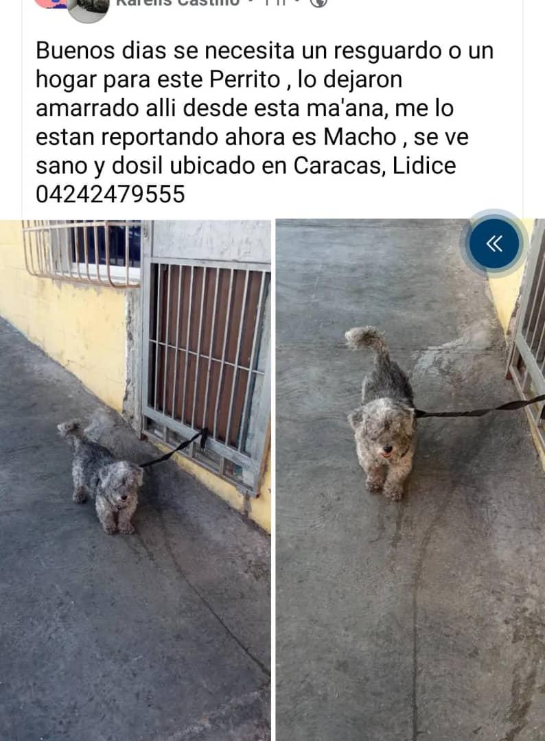 GRACE🇻🇪🆓 tweet media