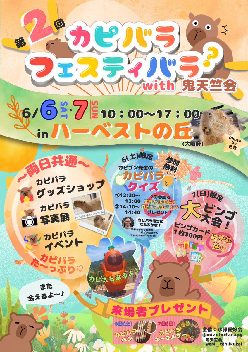 カピバラかぴばら (@capybara5179) / Posts / X