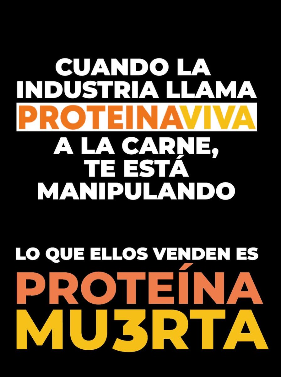 ProyectoSacha tweet media