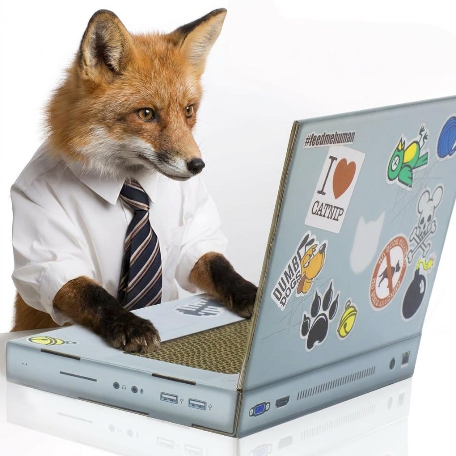 MetaMask 🦊 tweet media
