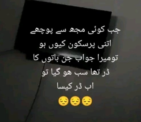 Aleena tweet media