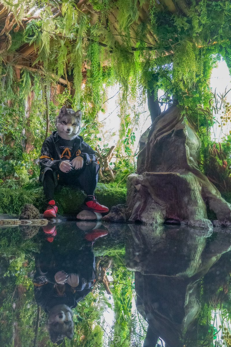 Lilia Starglow tweet media