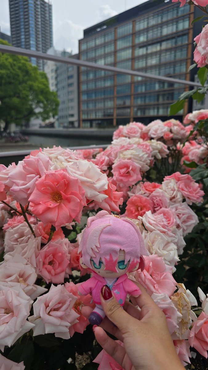 あきこ tweet media