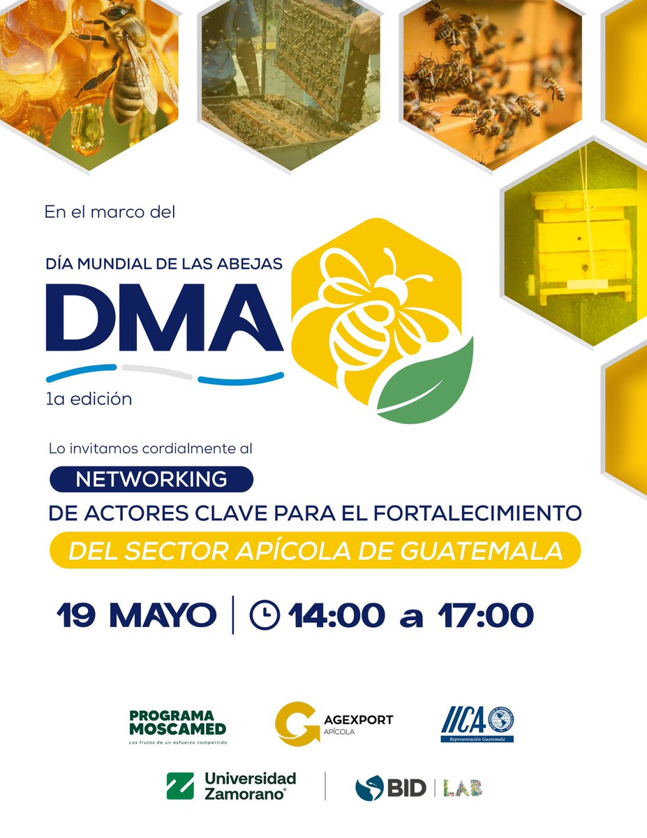 MOSCAMEDGT's tweet photo. 🐝 Día Mundial de las Abejas | 20 de mayo 

¡Estamos listos para conversar sobre las acciones estratégicas para el fortalecimiento del sector apicola! 

📣 Más información: info@medfly.org.gt 

@AGEXPORTGT @IICAGuatemala @ZamoranoHN 

#DíaMundialDeLasAbejas #DMA2026 https://t.co/EfN7Z56zbF
