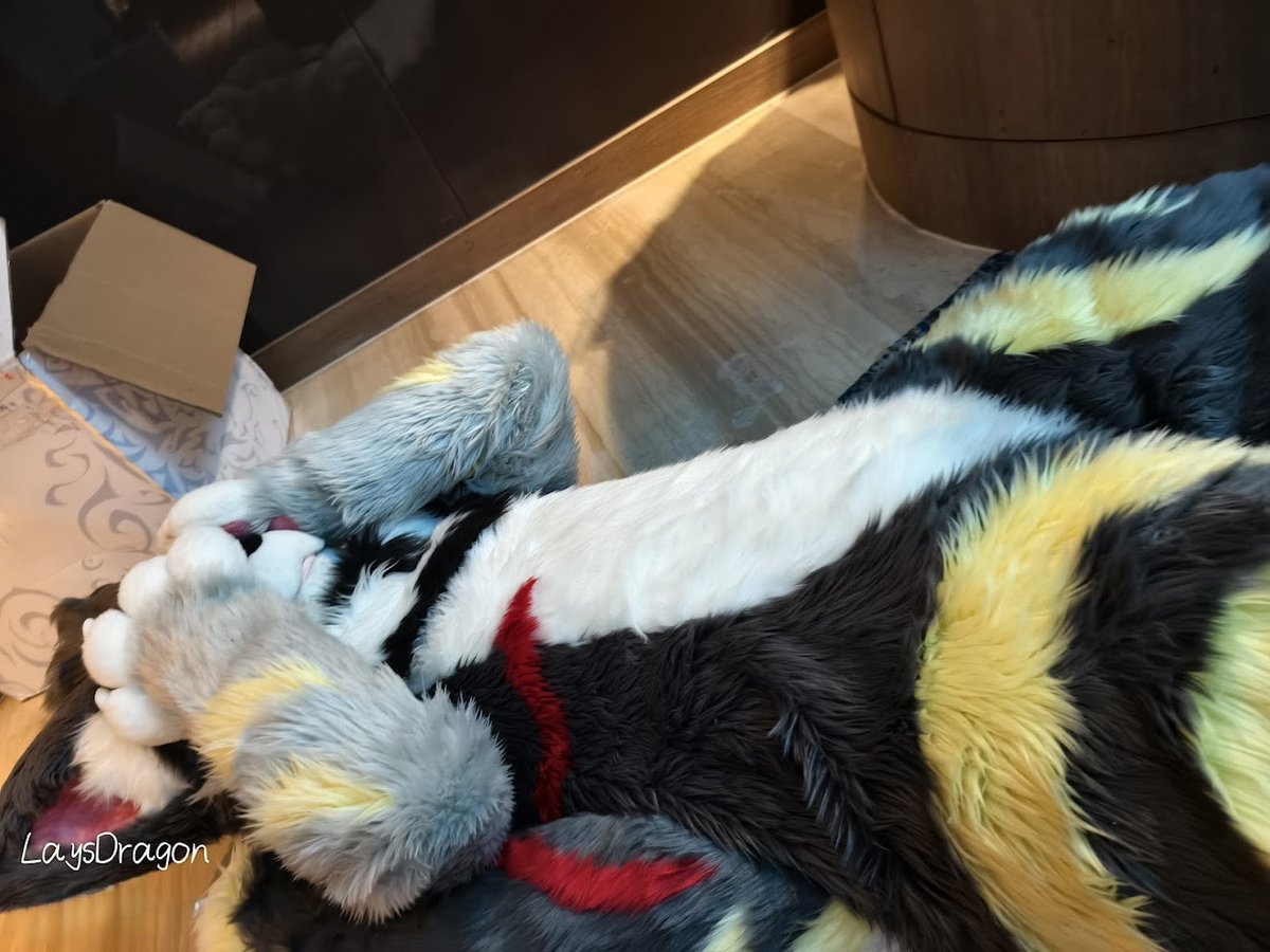 mikage1007's tweet photo. 本当に恥ずかしい！

📸:@LaysDragon 

#FursuitsFriday
#furmony
#鸿萌造物 https://t.co/UIzzQBrdy4