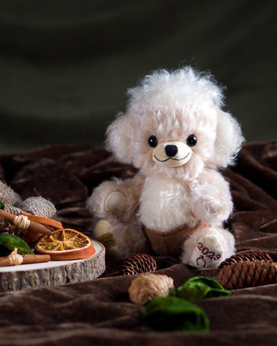 Teddybearland tweet media