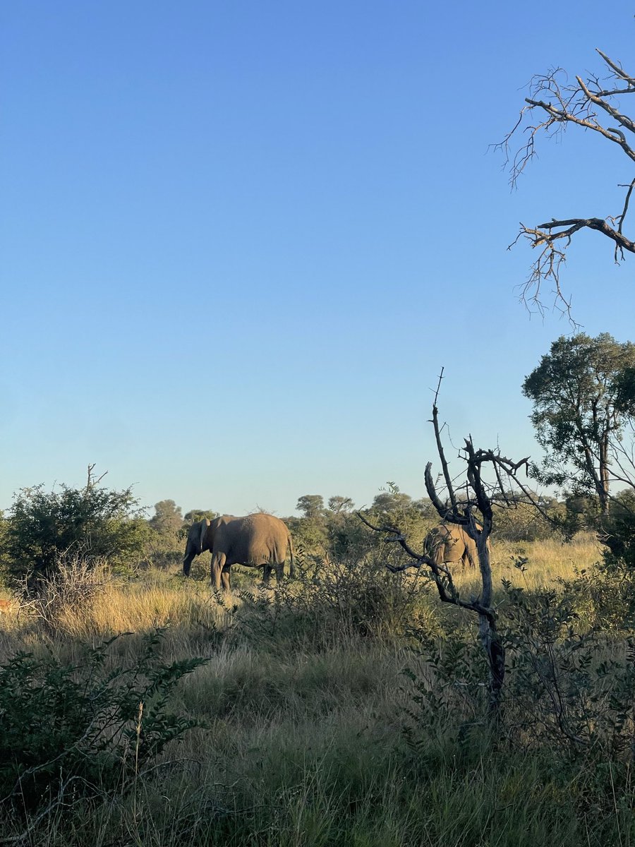 Palesa_parisma's tweet photo. We went to Kruger https://t.co/2ROPZYZvKv