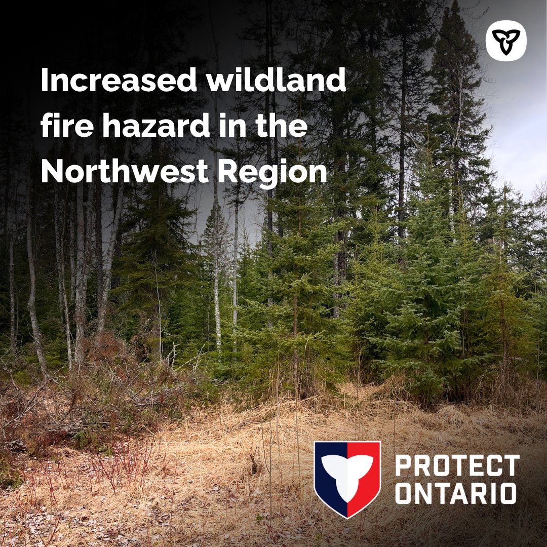 Ontario Forest Fires tweet media