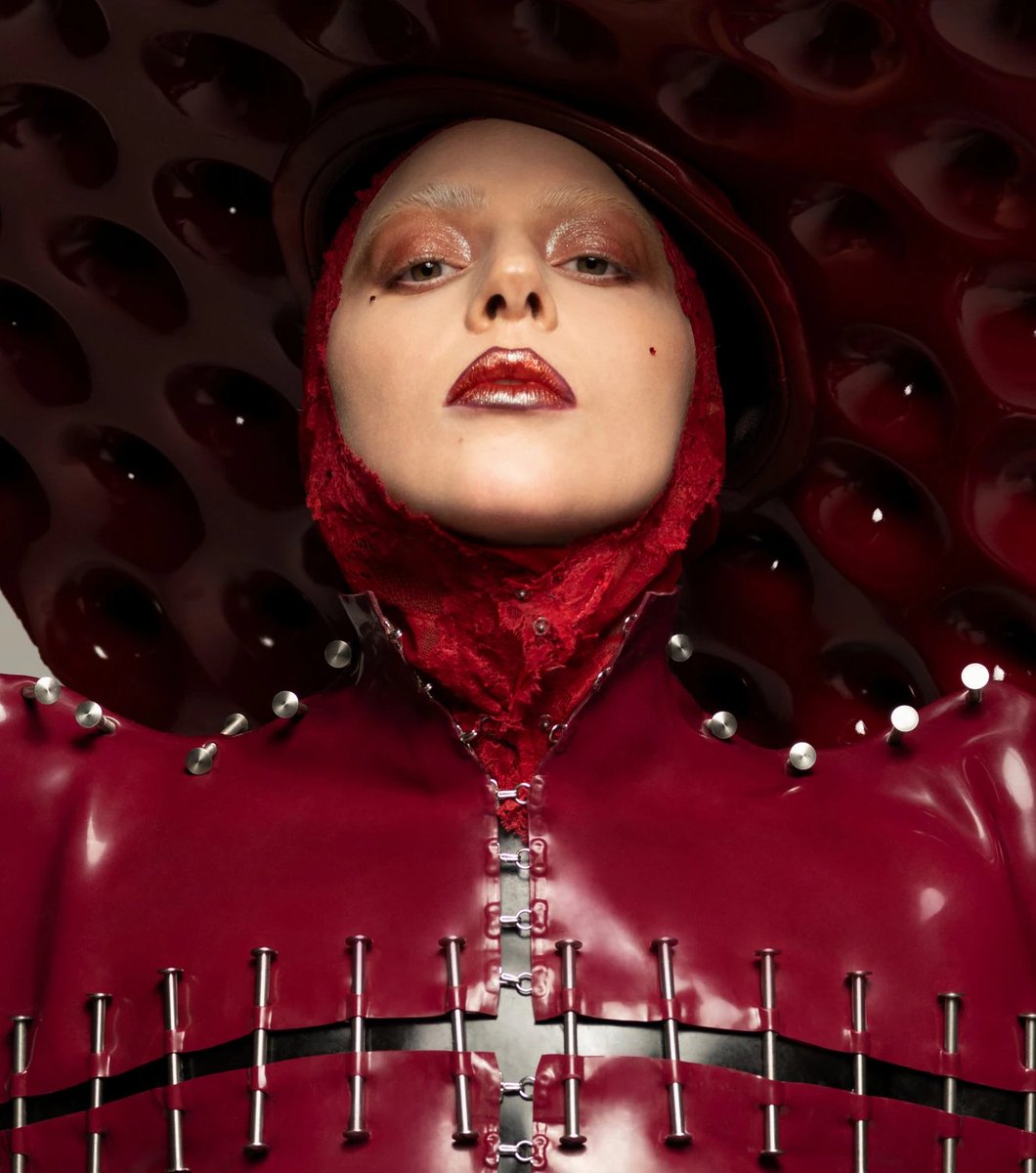 Gaga Daily tweet media