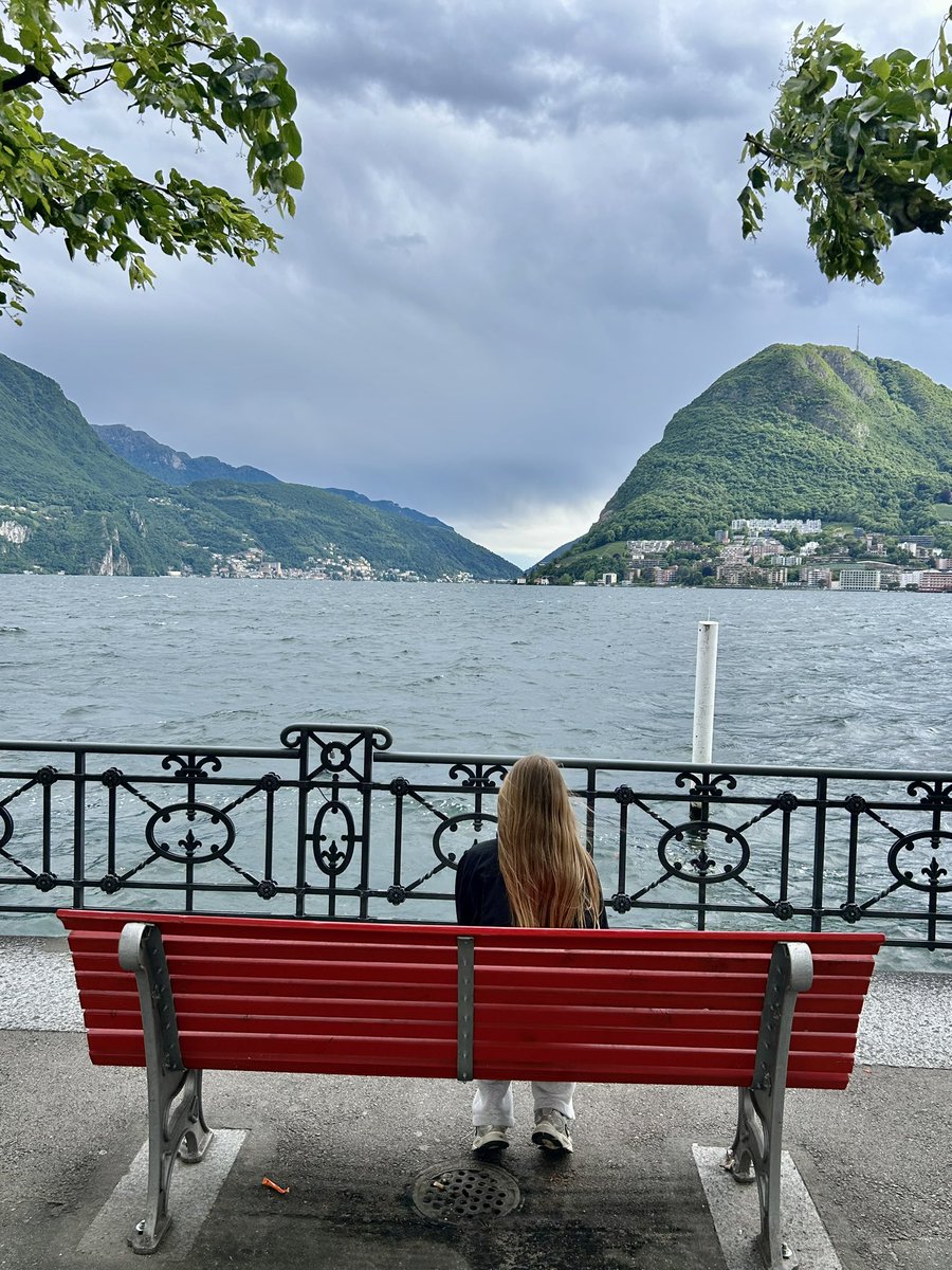 🇨🇭 Swiss Hodler tweet media