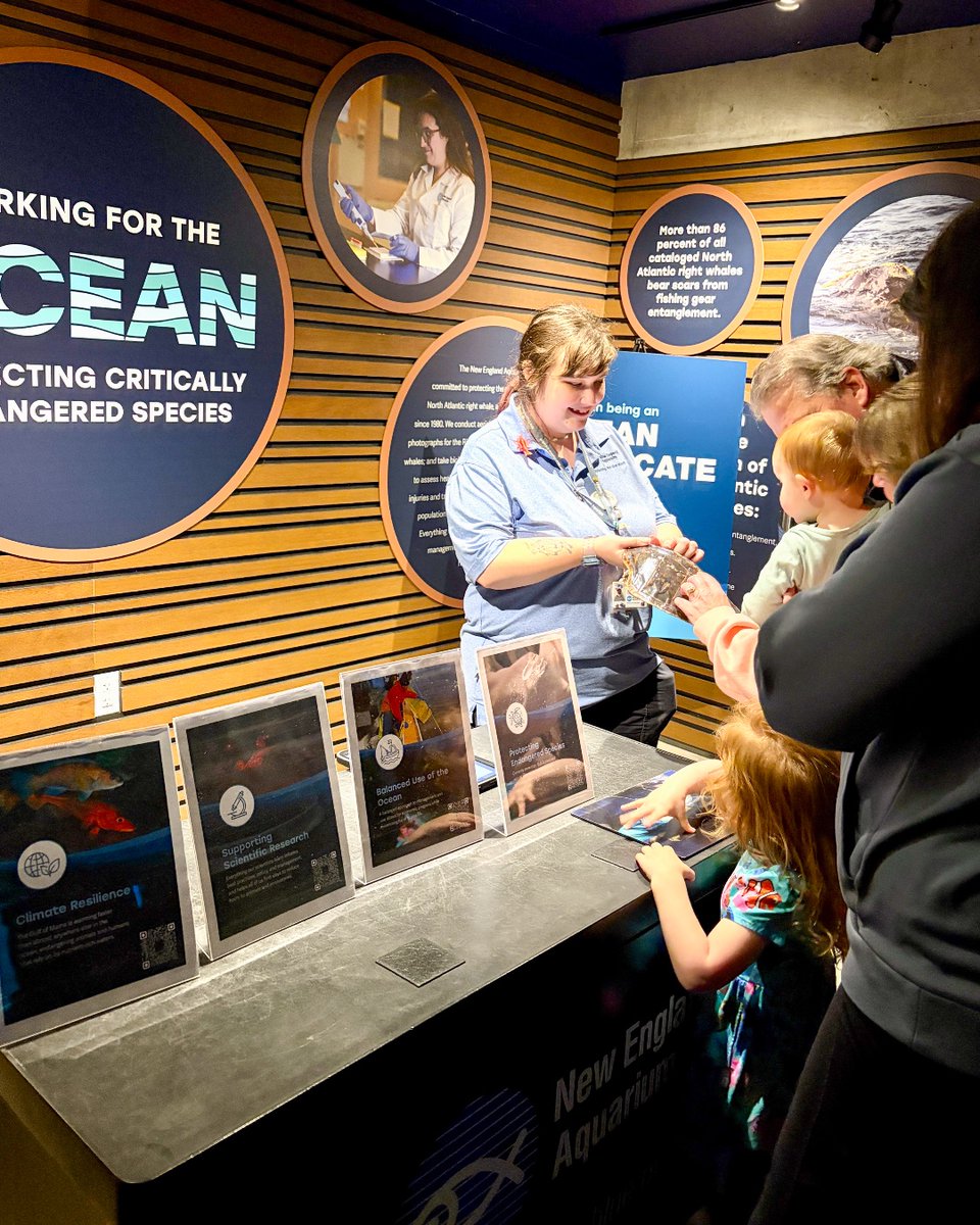 NEAQ's tweet photo. Becoming an #OceanAdvocate starts with learning about the ocean! 💙🌊
 
Over the past two weekends, our educators have been inviting guests to join us in being advocates for the ocean by sharing some ocean issues that are important to us. Great job, educators! https://t.co/sH8O2zp4cx