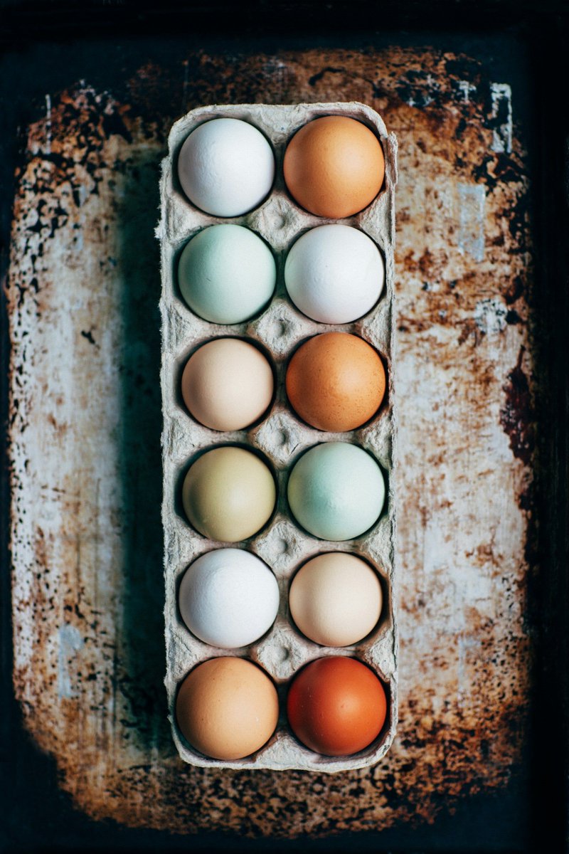 BiotiQuest's tweet photo. New Blog Post: The Ultimate Savory Breakfast: Fermented Buckwheat, Pasture-Raised Eggs, Mushrooms, and Olive Oil 
https://t.co/0FqDBEMmfO https://t.co/QOfuBDmy9H