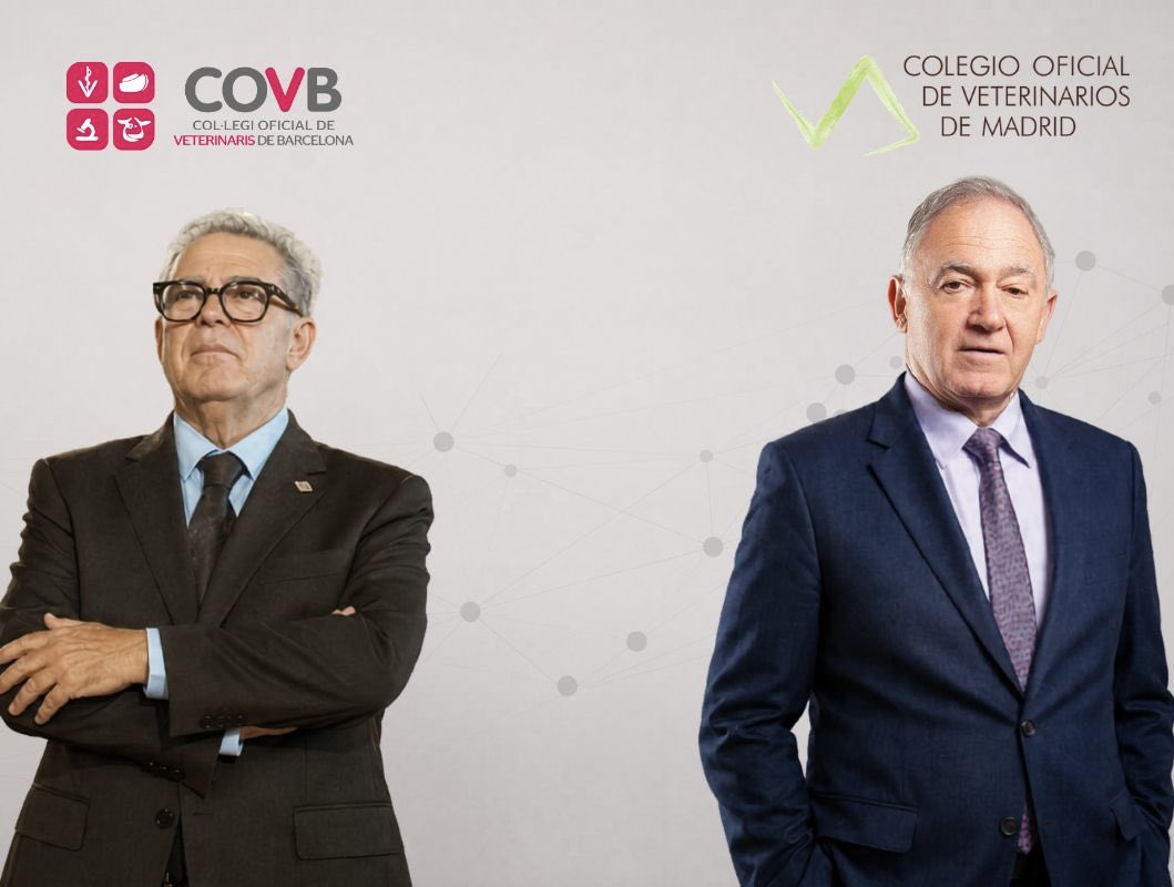 Colegio Oficial de Veterinarios de Madrid tweet media