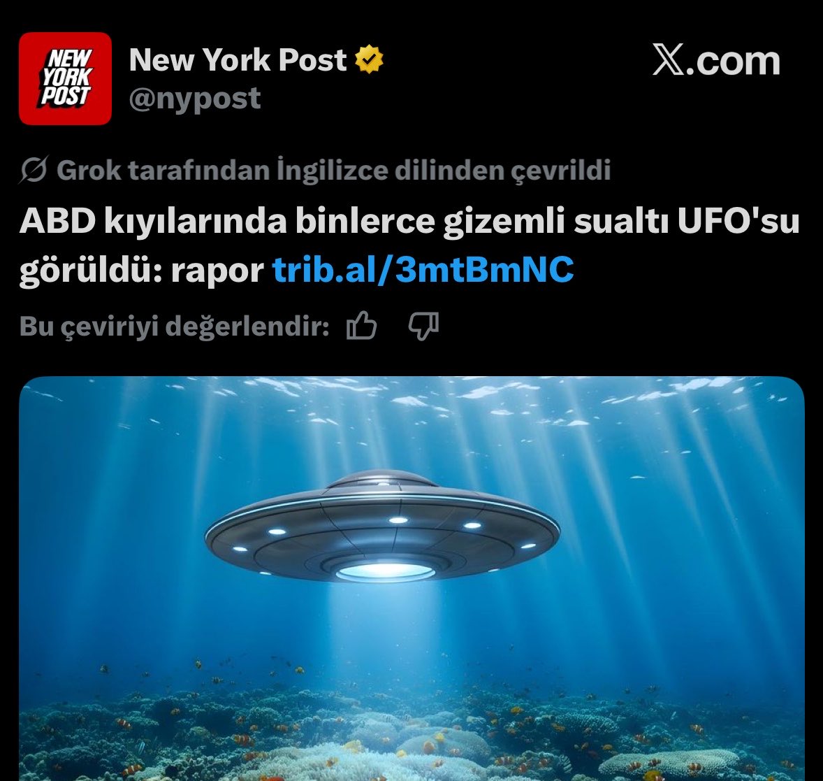 Gusholder Haber Bülteni tweet media