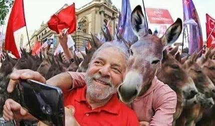 Marcelo Araujo tweet media