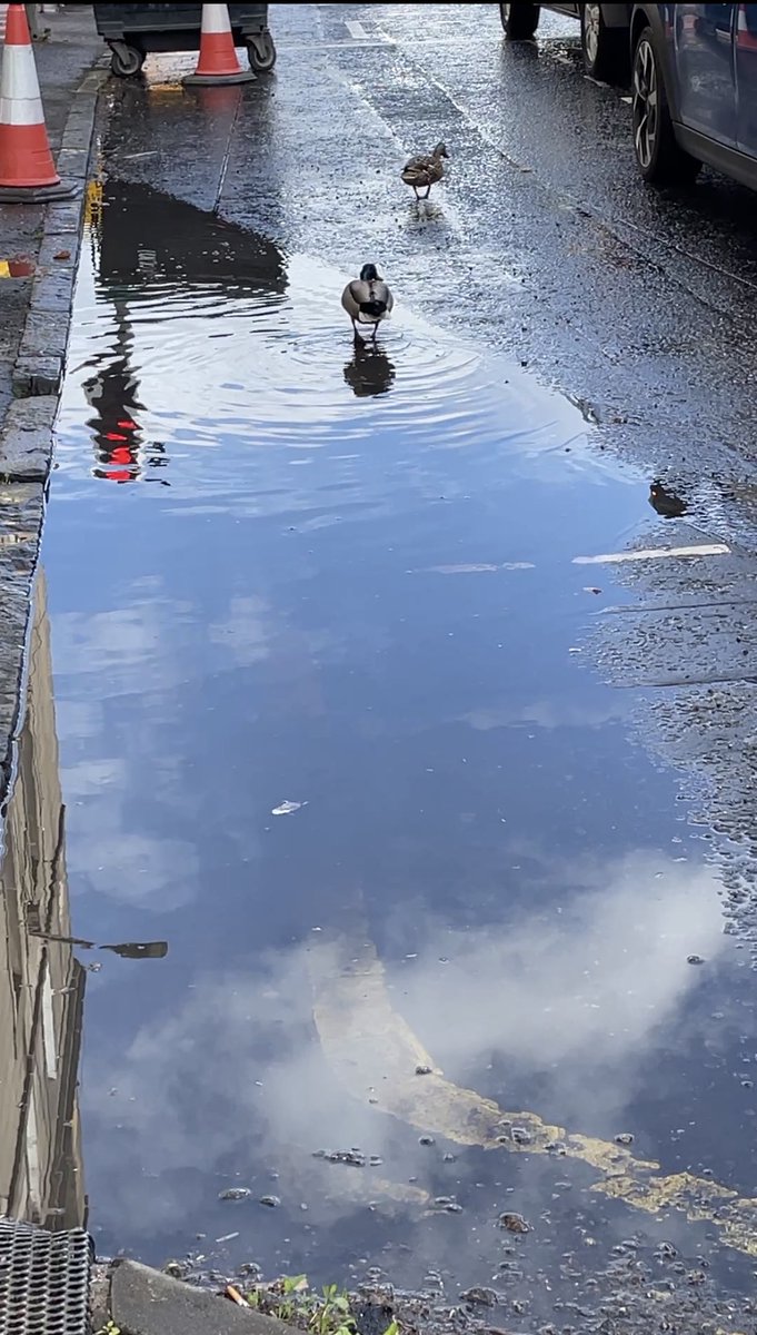 AuldAngus's tweet photo. @edinhelp https://t.co/USvxFJvPn3