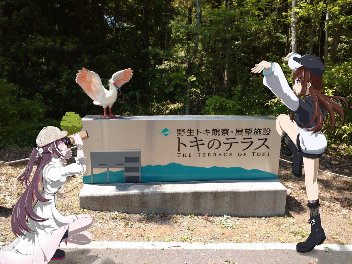 kantoHL's tweet photo. #SorAZ　#AZKiART　#そらArt

新潟県佐渡市の『トキのテラス』

佐渡の田園を一望できる高台にあるテラスで
備え付けの望遠鏡でバードウォッチングができます
運が良ければ野生のトキが見れるかも https://t.co/fjlDAR8h7f