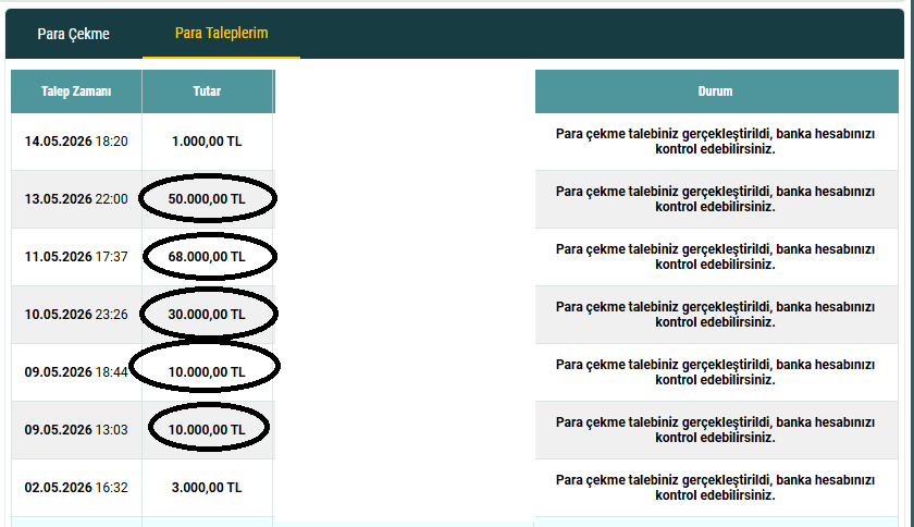 Yarisseverinsesi tweet media
