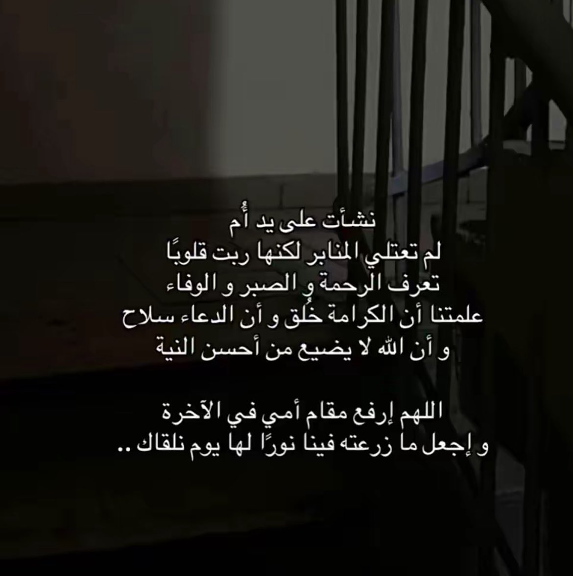 م tweet media