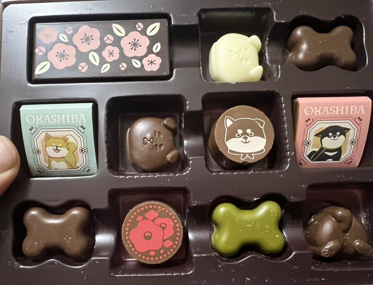 Demitori_M's tweet photo. 可愛すぎて食べれない… https://t.co/RlGfExXvHx