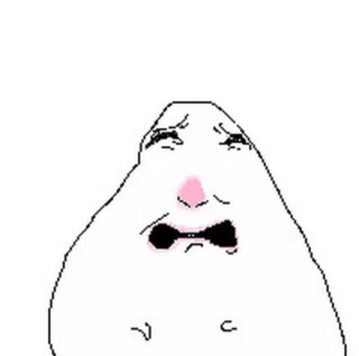 챠우 tweet media