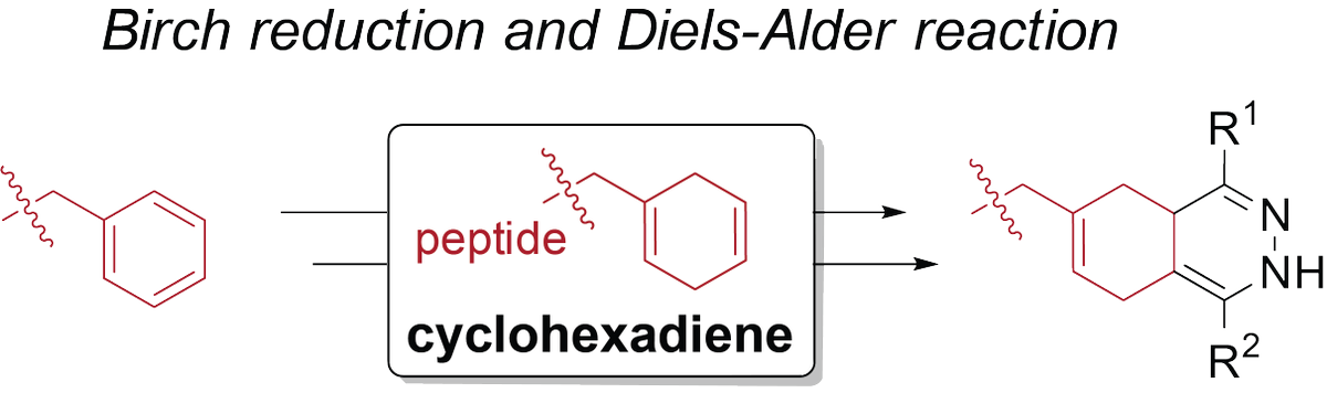 Ohata Lab tweet media