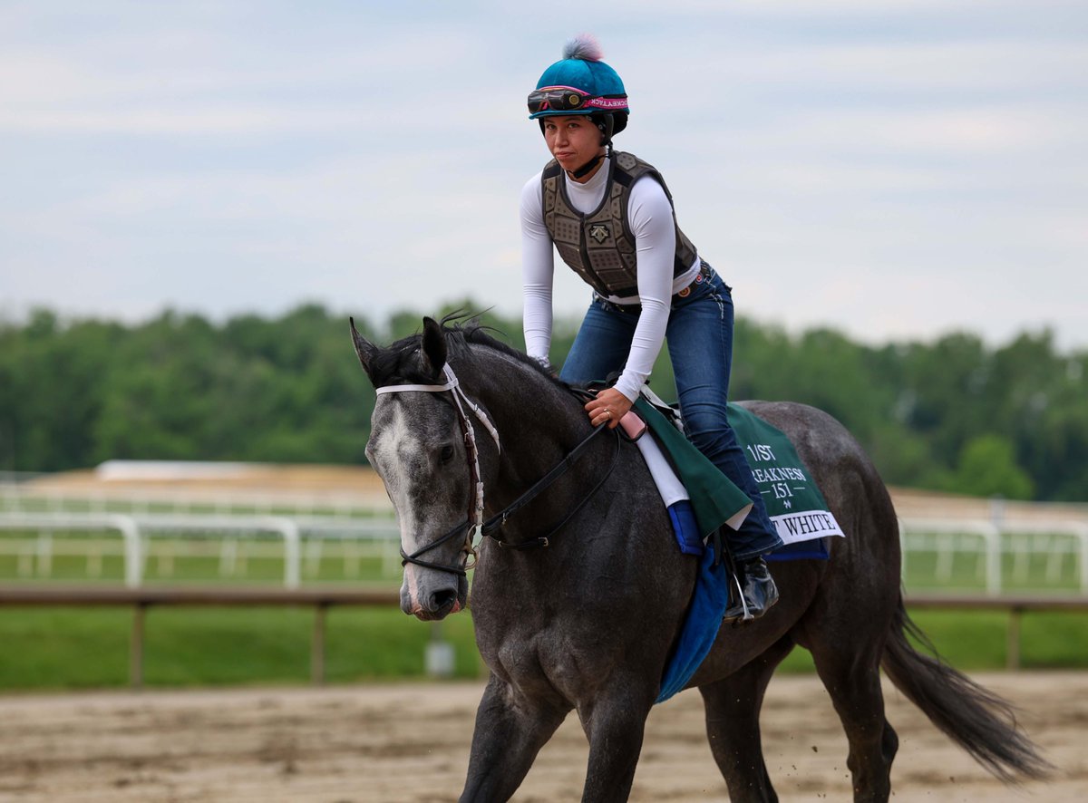 Equibase tweet media