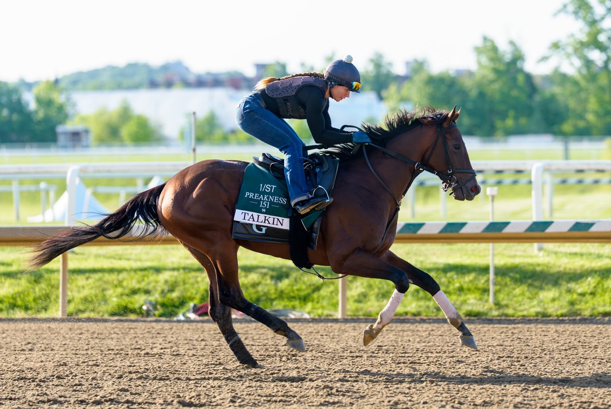 Equibase tweet media