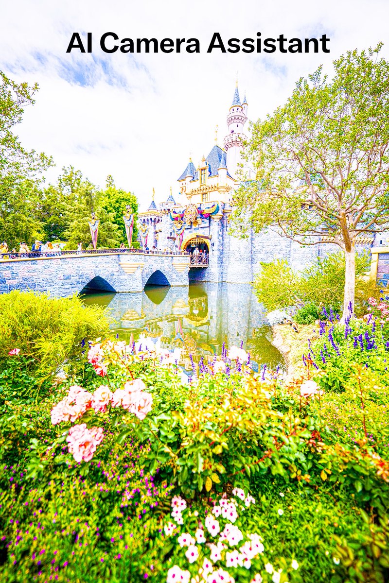 Somewareatdisney tweet media