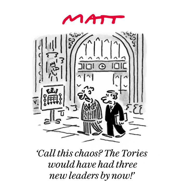 Matt Cartoons tweet media