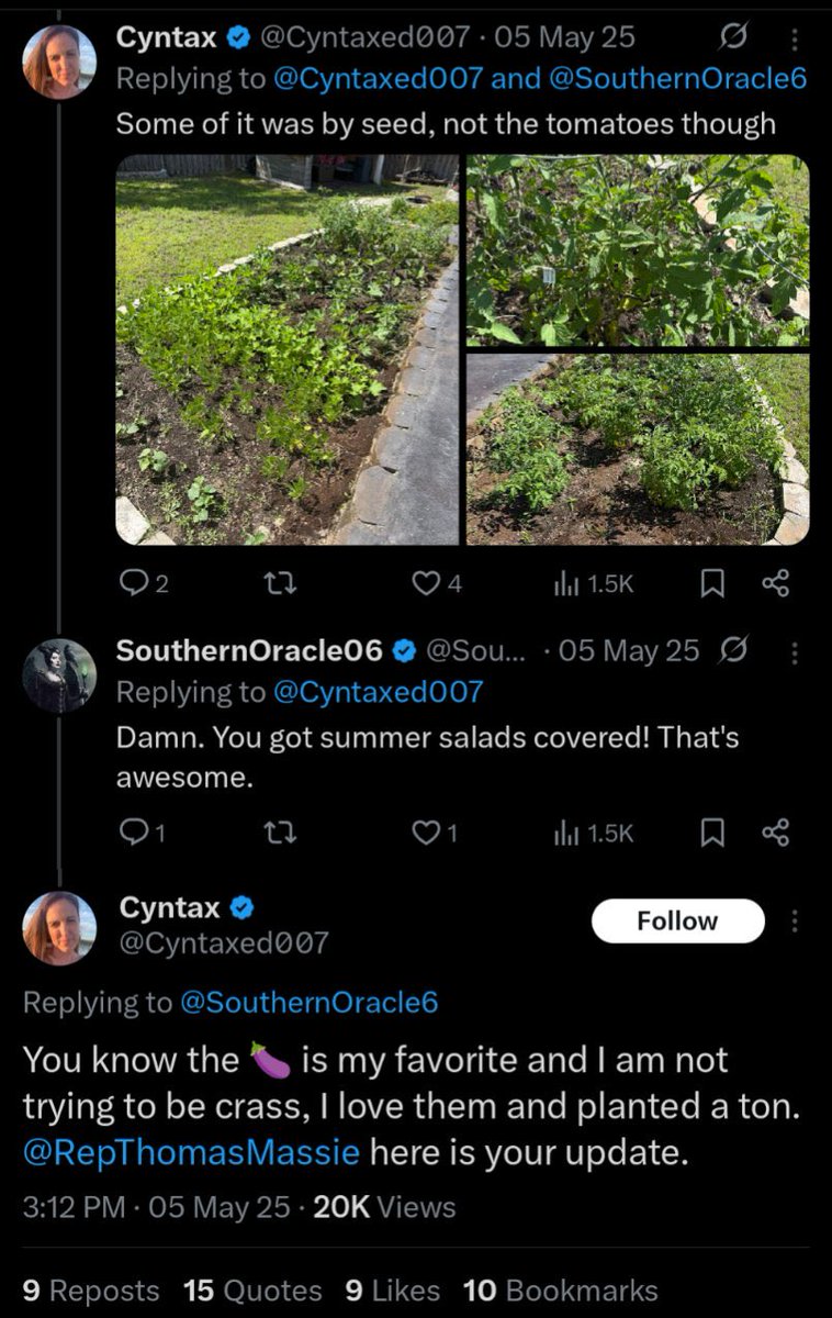 Laura Loomer tweet media