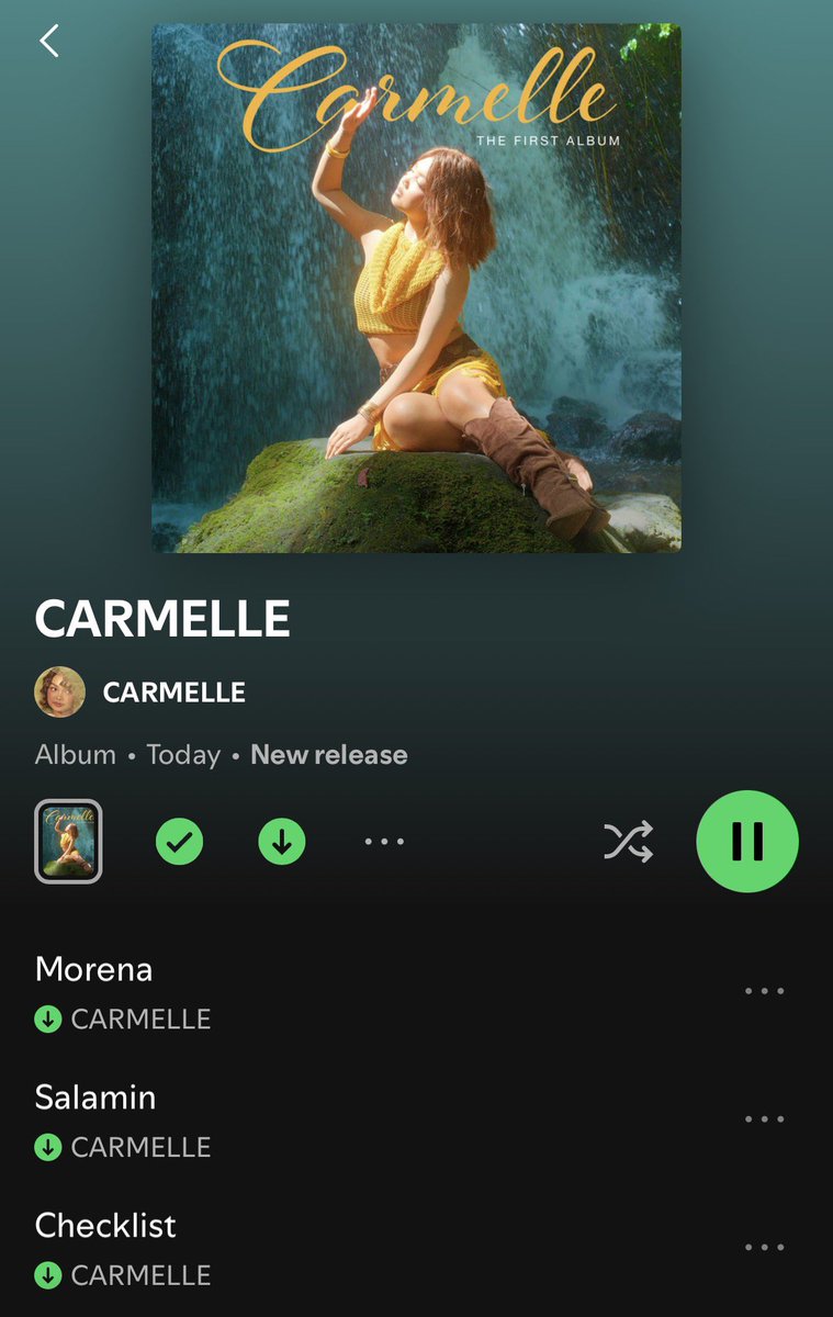 softforcarton's tweet photo. this is what a no skip album looks like https://t.co/eWKQ4lXbGE