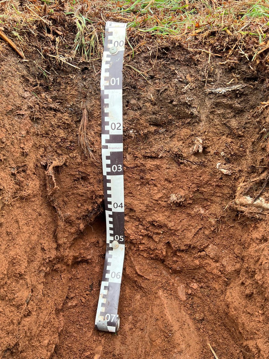 British Society of Soil Science tweet media